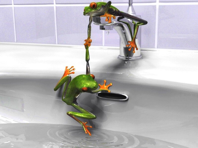 Two Green Frogs in Sink — Playful