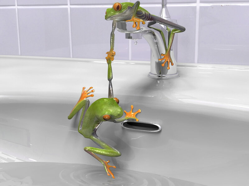 Two Green Frogs in Sink