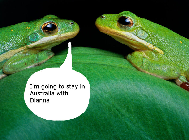 Two Green Frogs on Leaf