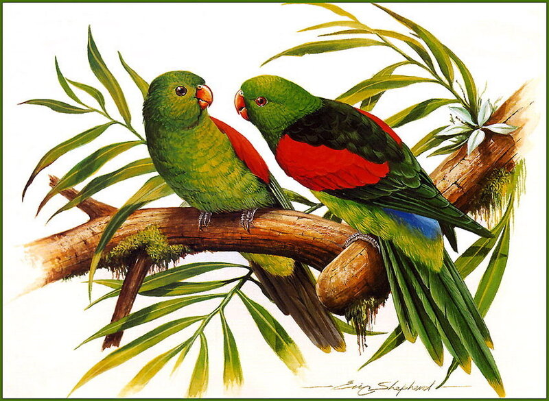 Two Green Parrots — Calm, Illustration