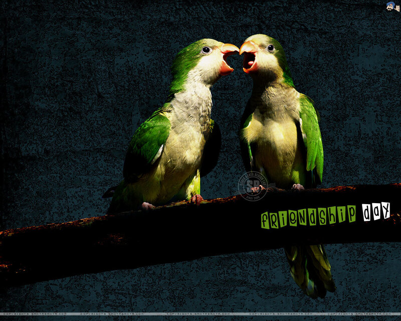 Two Green Parrots — Dramatic