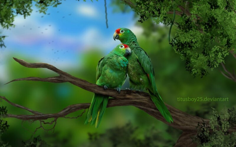 Two Green Parrots on Branch — Serene, Afternoon