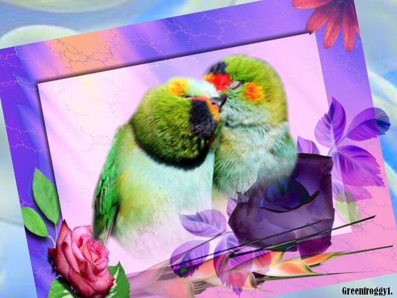 Two Green Parrots — Purple