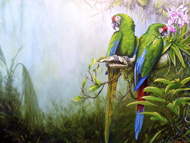 Two Green Parrots — Serene