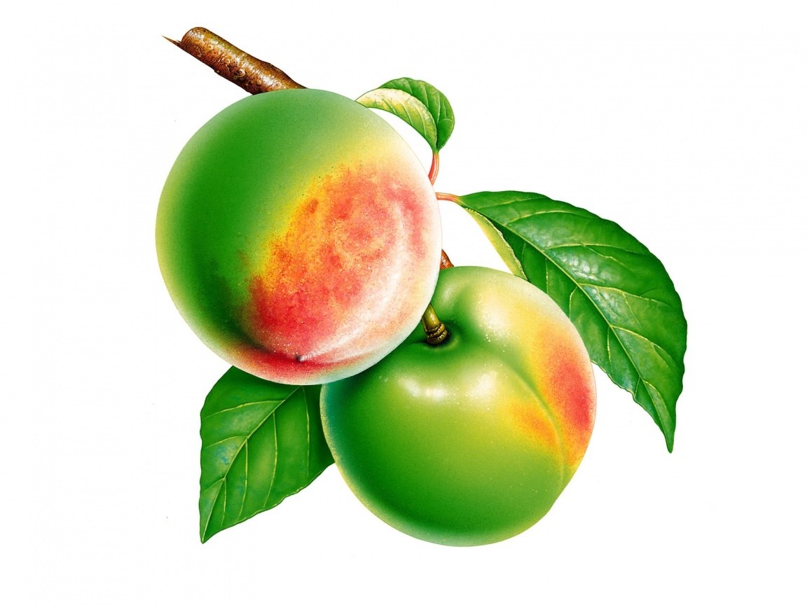 two green peaches with leaves