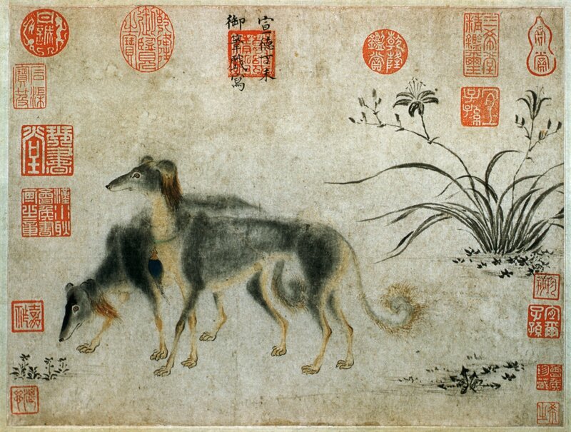 Two Greyhounds Walking