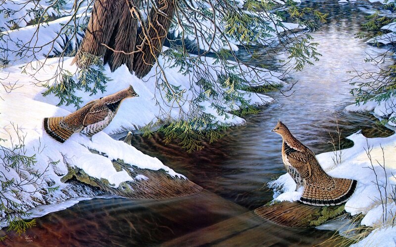 Two Grouse by Stream