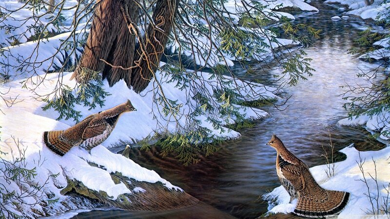 Two Grouse by Stream — White, Serene, Winter