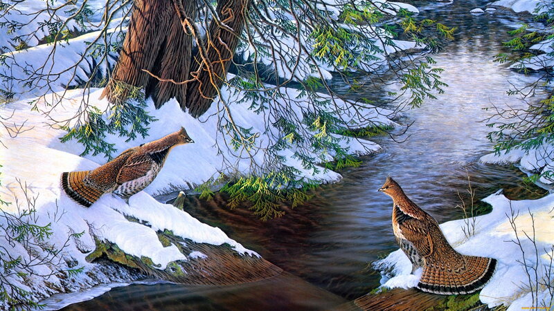 Two Grouse by Stream — White