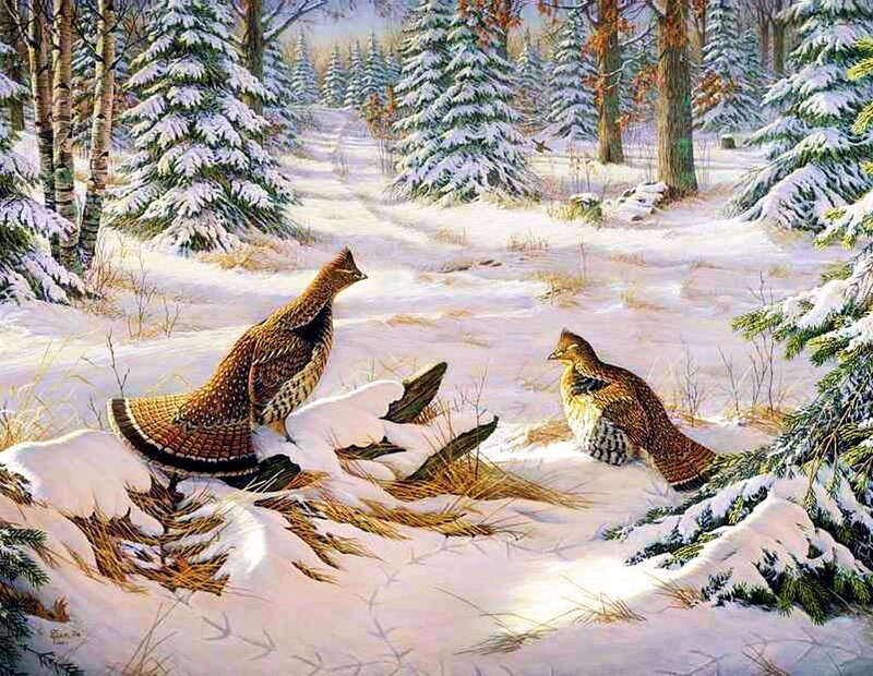 Two Grouse in Snow