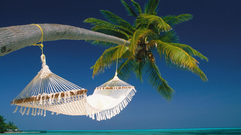 Two Hammocks on Palm Tree — Blue