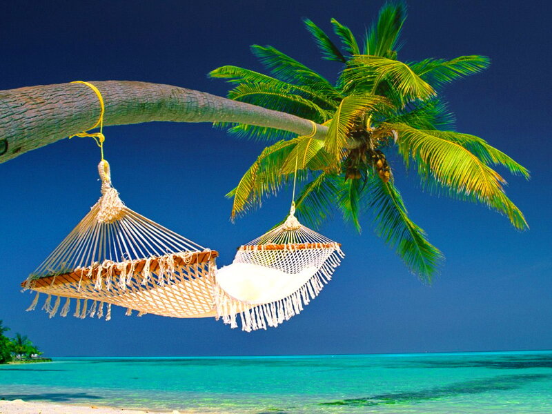 Two Hammocks on Palm Tree