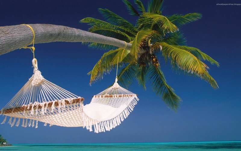 Two Hammocks under Palm Tree — Blue, Serene