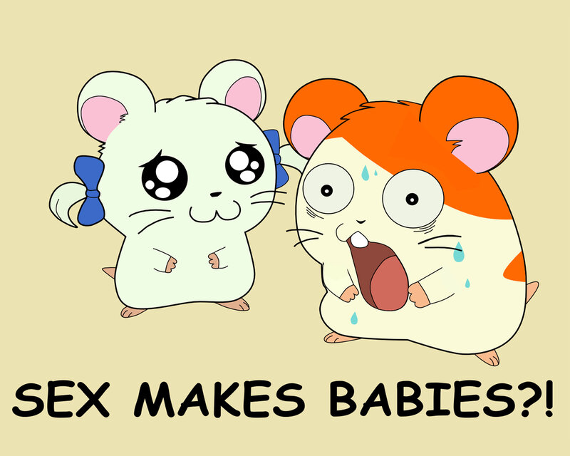 Two Hamsters