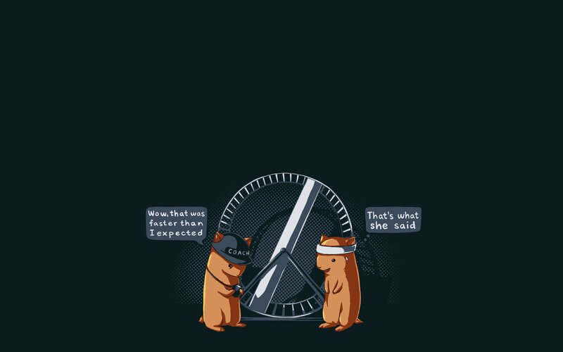 Two Hamsters with Wheel