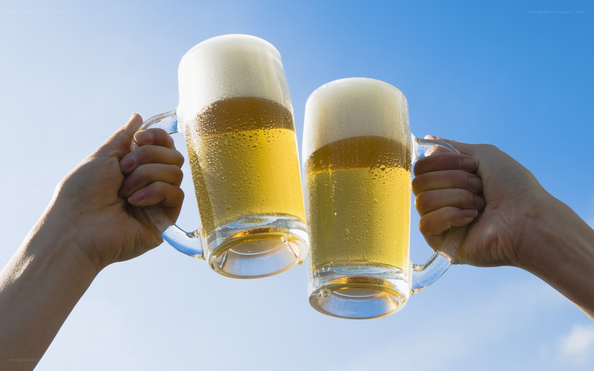 Two hands clinking beer mugs