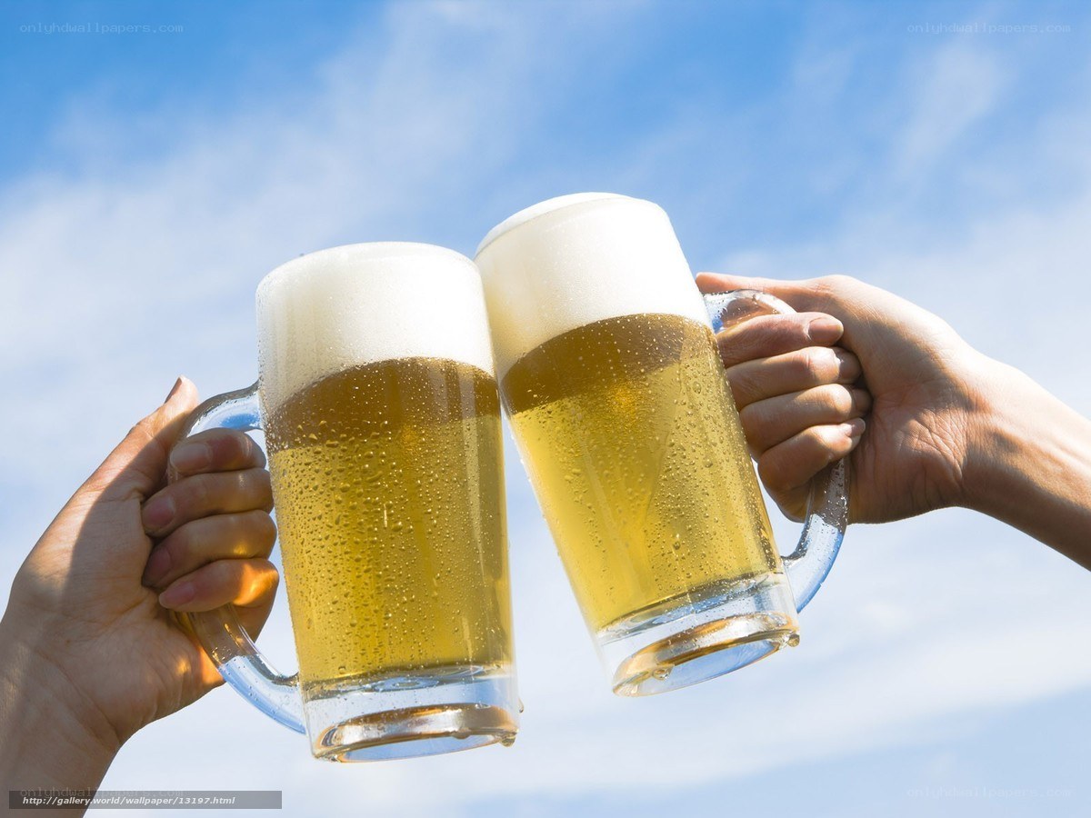 Two hands clinking beer mugs