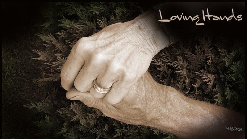 Two Hands Holding — Brown, Serene, Photograph