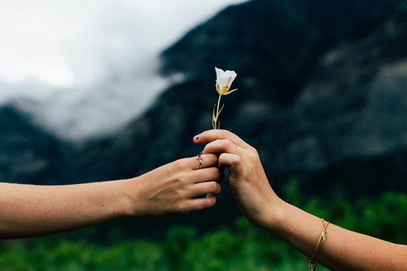 Two Hands Holding Flower — Green