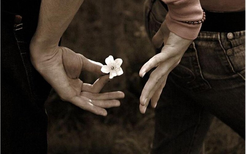 Two Hands Holding Flower