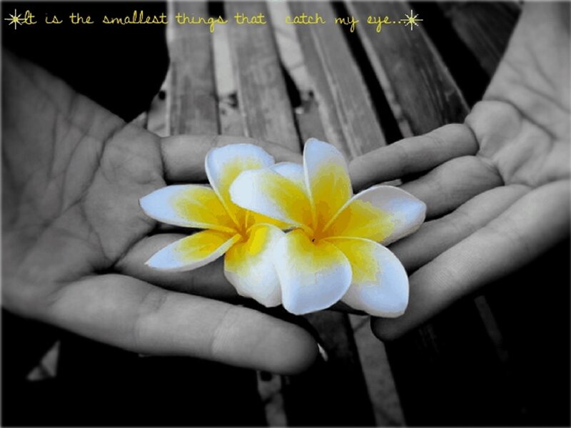 Two Hands Holding Flowers