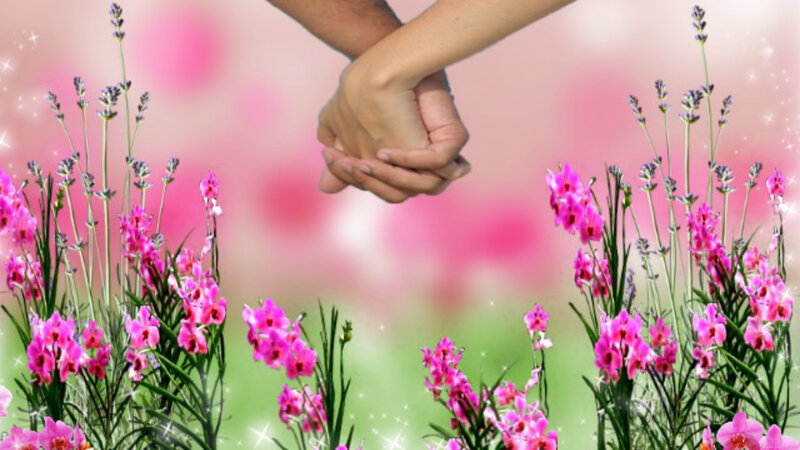 Two Hands Holding — Pink