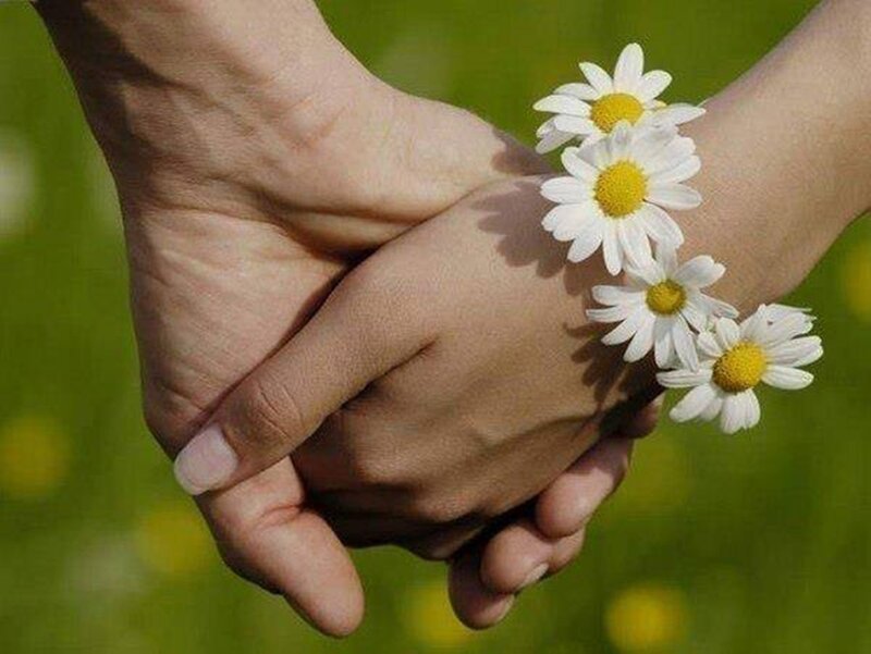 Two Hands Holding — White, Peaceful