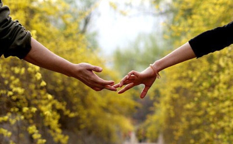 Two Hands Reaching — Yellow, Serene