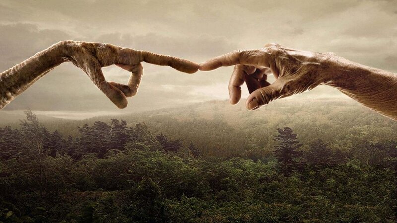 Two Hands Touching — Brown, Dramatic