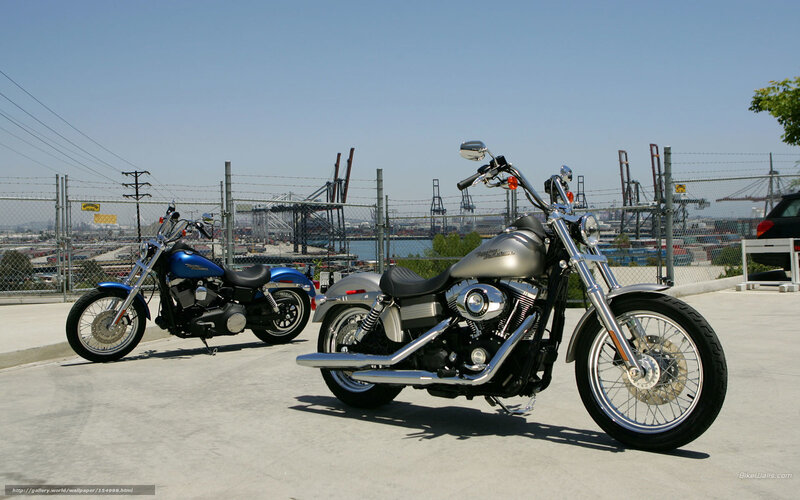Two Harley-Davidson motorcycles at port