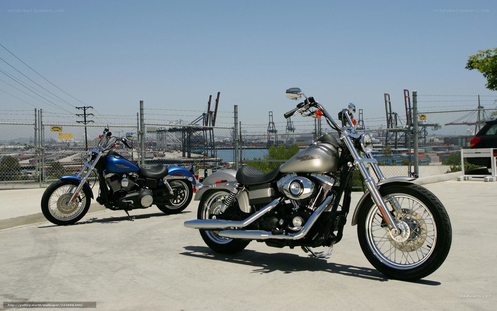 Two Harley-Davidson motorcycles at port
