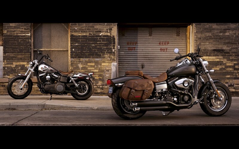 Two Harley-Davidson motorcycles