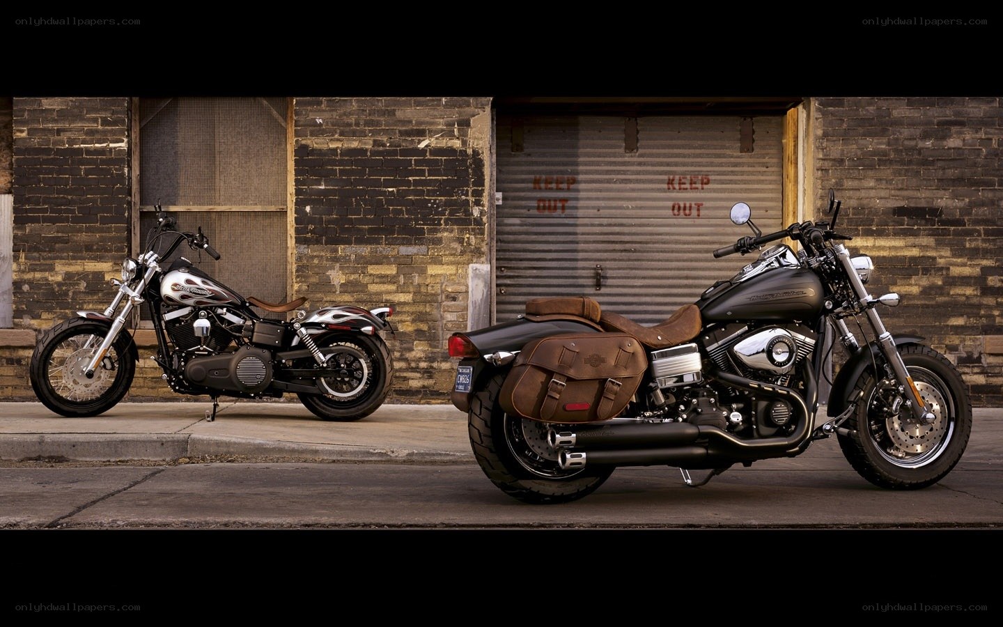 Two Harley-Davidson motorcycles