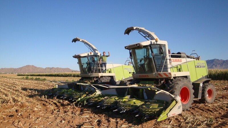 Two Harvesters in Field