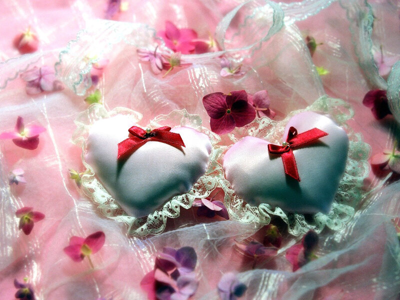 Two Heart-shaped Pillows
