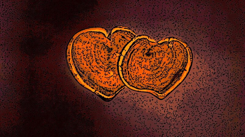 Two Heart-shaped Wood Slices
