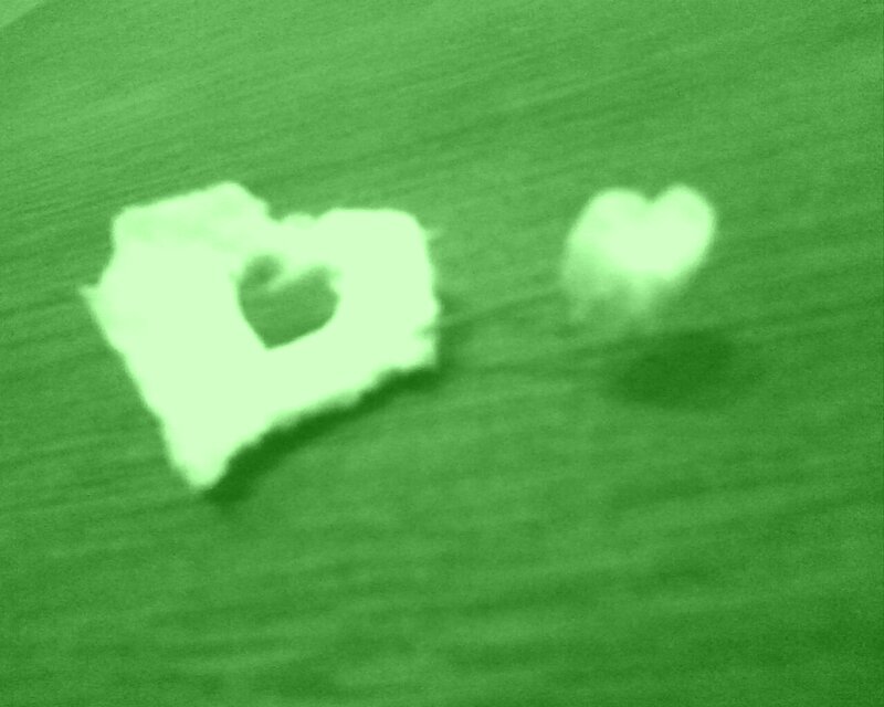 Two Heart Shapes