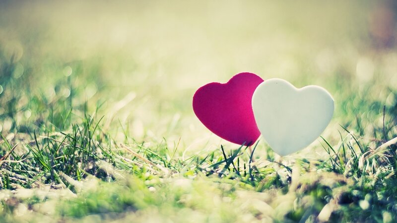 Two Hearts in Grass — Green