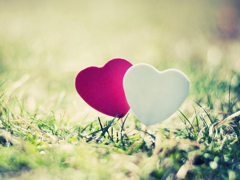 Two Hearts in Grass
