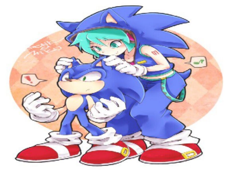 Two Hedgehogs Hugging