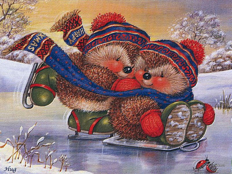Two Hedgehogs on Ice