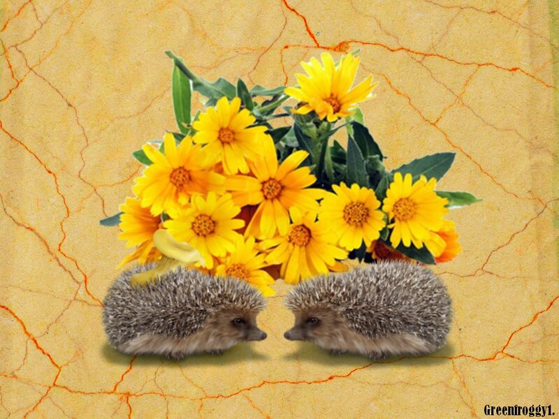 Two Hedgehogs with Flowers