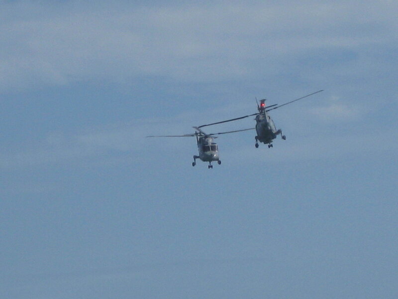 Two Helicopters in Flight — Blue, Calm