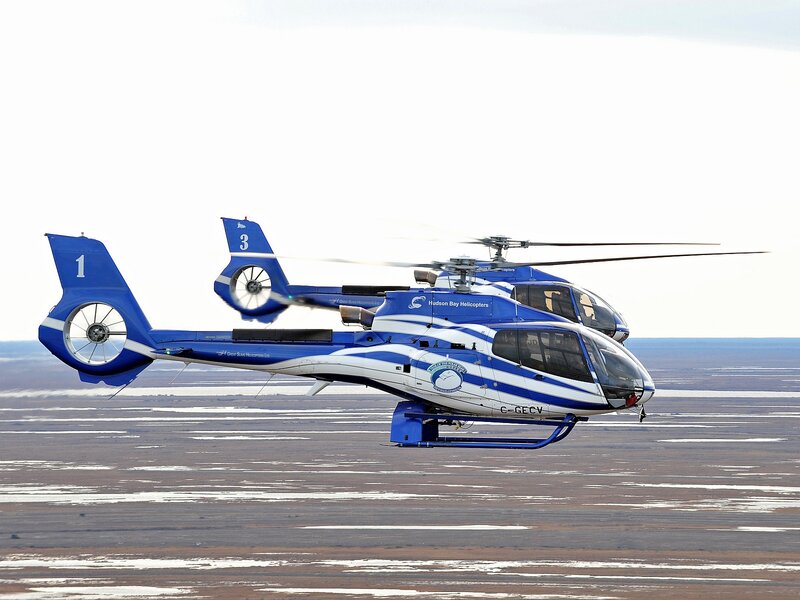 Two Helicopters in Flight — Blue
