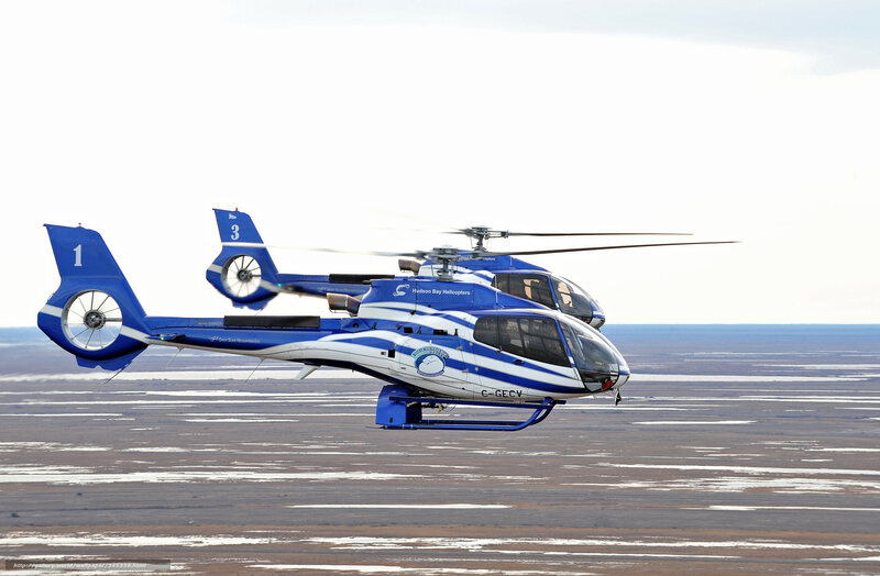 Two helicopters in flight
