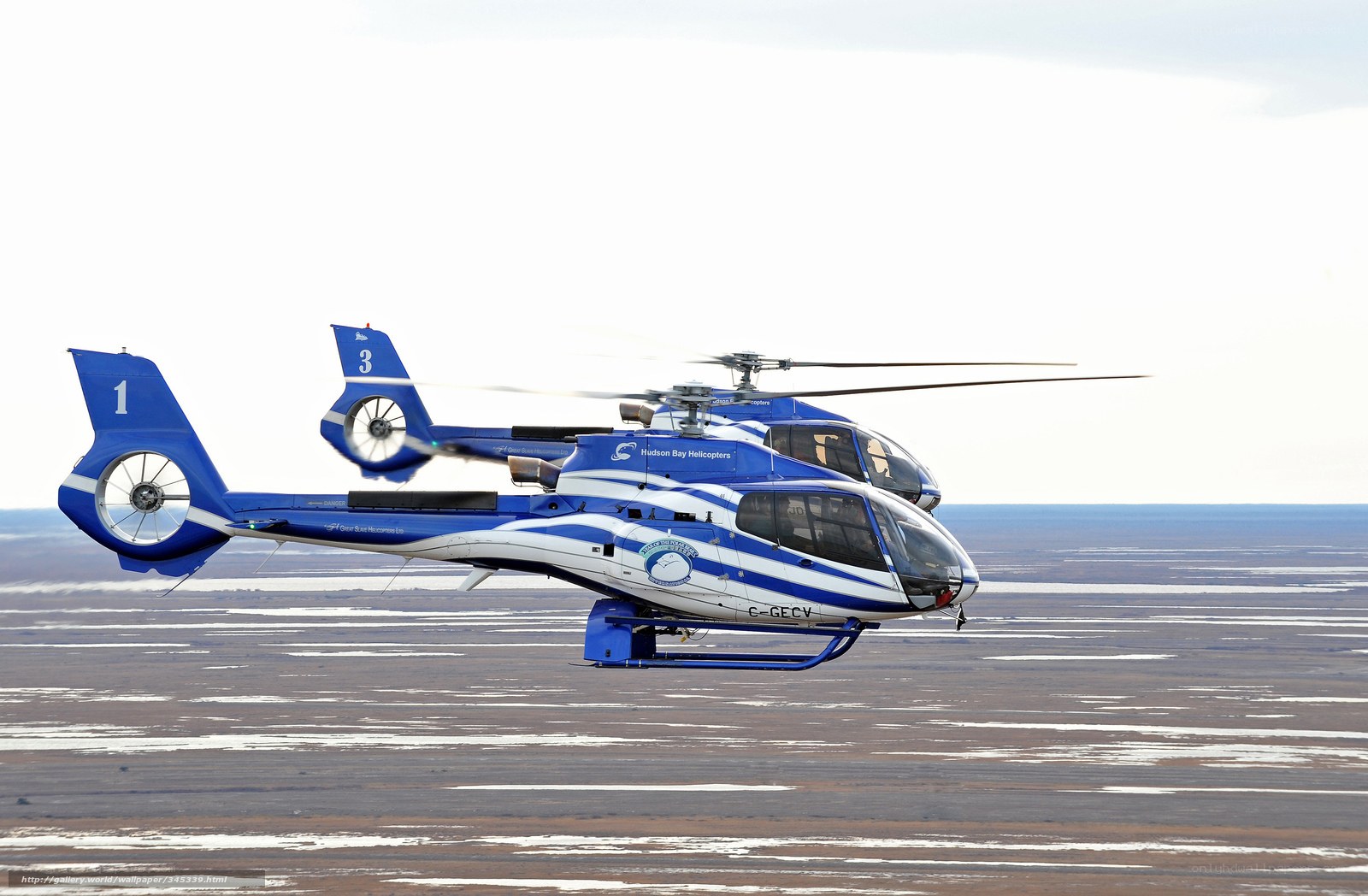 Two helicopters in flight