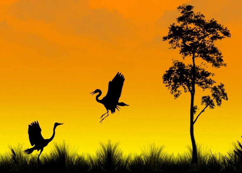 Two Herons in Flight — Orange