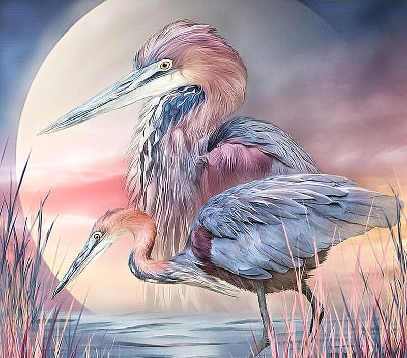 Two Herons in Marsh