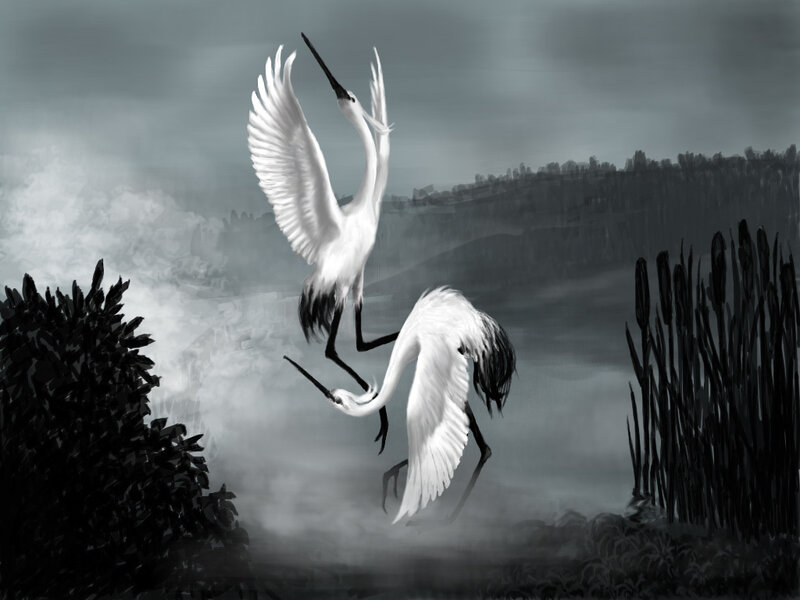 Two herons in misty landscape