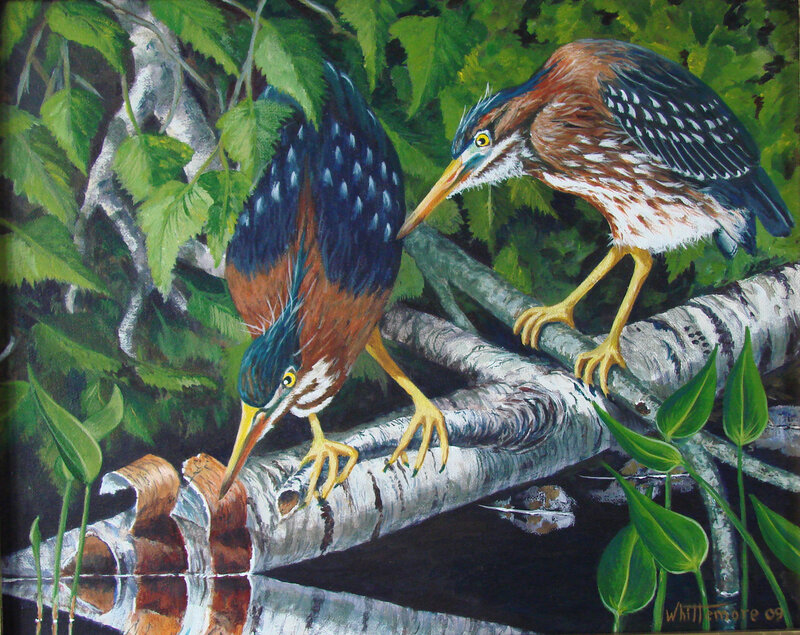 Two herons on a branch